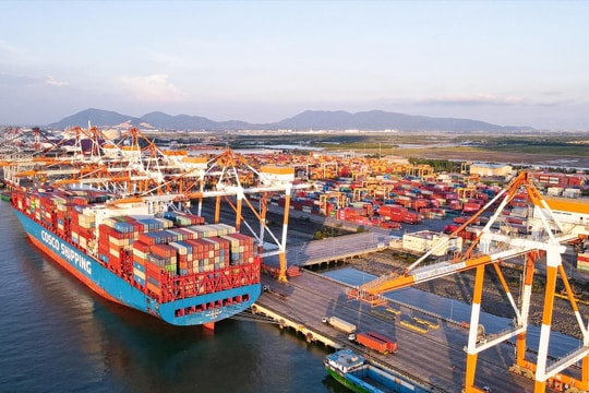 Thành lập Hội đồng thẩm định dự án Tổ hợp cảng Cái Mép Hạ tại TP.HCM Thành lập Hội đồng thẩm định dự án Tổ hợp cảng Cái Mép Hạ tại TP.HCM