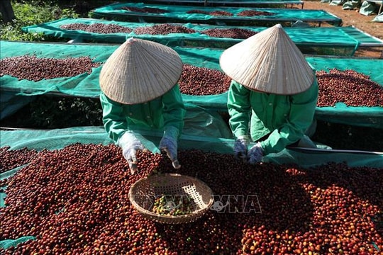 Bộ Công Thương tháo gỡ khó khăn cho doanh nghiệp xuất khẩu nông sản Bộ Công Thương tháo gỡ khó khăn cho doanh nghiệp xuất khẩu nông sản