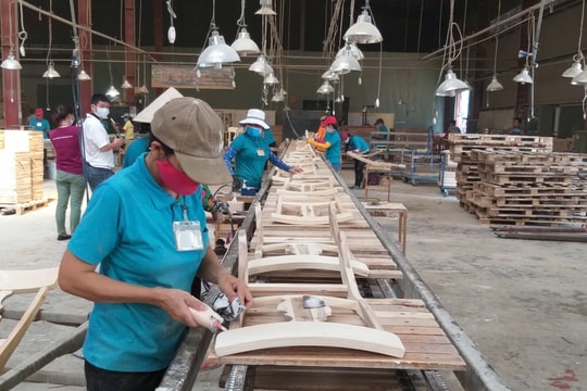 Mỹ chi 4,6 tỷ USD nhập khẩu gỗ từ Việt Nam trong nửa đầu năm 2025 Mỹ chi 4,6 tỷ USD nhập khẩu gỗ từ Việt Nam trong nửa đầu năm 2025