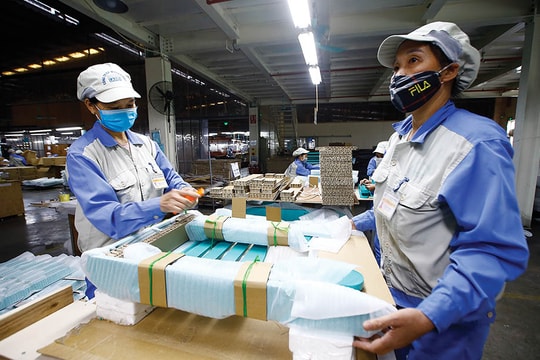 Việt Nam và EU giữ vững nhịp tăng trưởng hợp tác kinh tế Việt Nam và EU giữ vững nhịp tăng trưởng hợp tác kinh tế