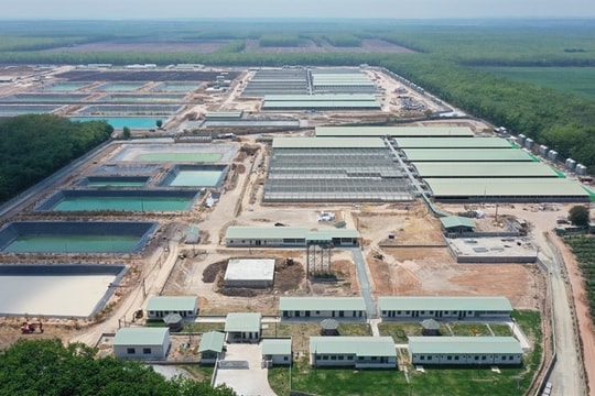 Tây Ninh dự kiến phát triển khu công nghiệp công nghệ cao, thu hút sản xuất máy bay và ô tô điện Tây Ninh dự kiến phát triển khu công nghiệp công nghệ cao, thu hút sản xuất máy bay và ô tô điện