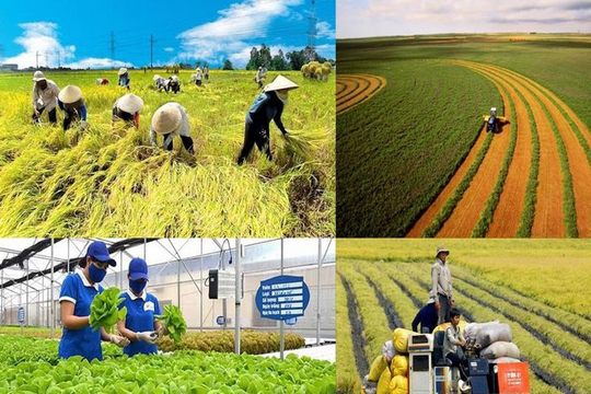 Ban hành sổ tay hướng dẫn thực hiện nhiệm vụ, thẩm quyền mới của chính quyền cấp xã trong lĩnh vực nông nghiệp và môi trường Ban hành sổ tay hướng dẫn thực hiện nhiệm vụ, thẩm quyền mới của chính quyền cấp xã trong lĩnh vực nông nghiệp và môi trường