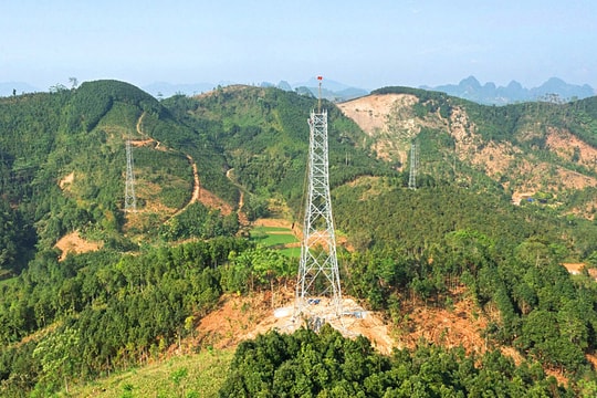 Thúc đẩy tiến độ giải phóng mặt bằng và thi công dự án đường dây 500kV Lào Cai - Vĩnh Yên trị giá 7.410 tỷ đồng