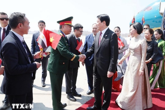 Giai đoạn hợp tác thương mại mới giữa Việt Nam và Ai Cập Giai đoạn hợp tác thương mại mới giữa Việt Nam và Ai Cập
