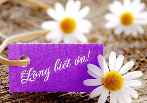 Văn hóa biết ơn: Nền tảng của một gia đình, tổ chức và xã hội phát triển Văn hóa biết ơn: Nền tảng của một gia đình, tổ chức và xã hội phát triển