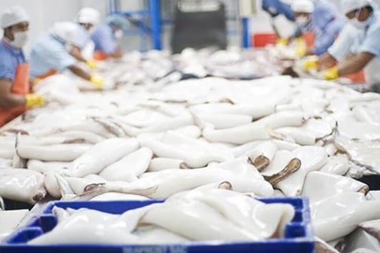 Mực, bạch tuộc Việt Nam hút hàng ở Thái Lan
