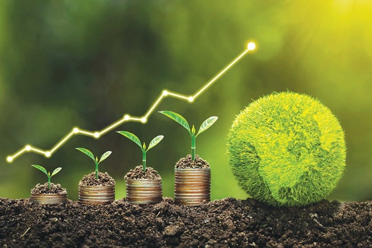 Để TP.HCM là trung tâm tài chính có trách nhiệm đầu tiên của ASEAN (Bài 3)