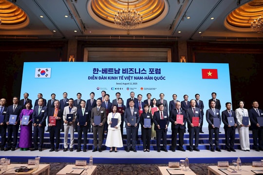 Hợp tác Việt - Hàn trong bán dẫn và đào tạo nhân lực công nghệ cao