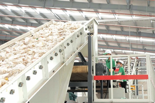 Doanh nghiệp bao bì loay hoay “EPR” Doanh nghiệp bao bì loay hoay “EPR”