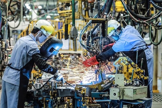 Bản tin trưa 13/8: Công nghiệp TP.HCM tăng tốc sau hợp nhất hành chính; Giá cà phê chấm dứt chuỗi 3 phiên tăng