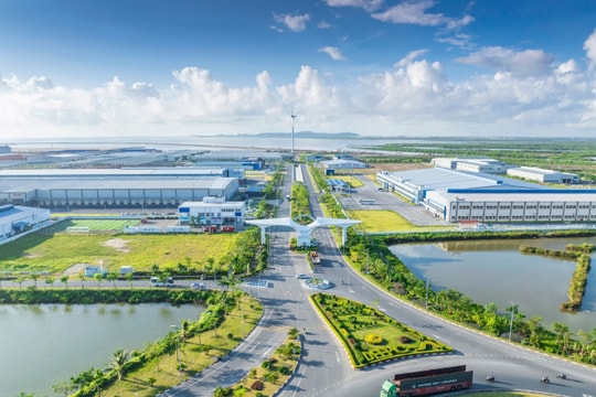 Bản tin sáng 18/8: Làn sóng đầu tư từ châu Âu đổ bộ vào Việt Nam; CT Group xuất khẩu 5.000 UAV vận tải