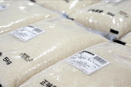 Giá gạo tại Nhật Bản tăng gần 91% trong tháng 7/2025 Giá gạo tại Nhật Bản tăng gần 91% trong tháng 7/2025
