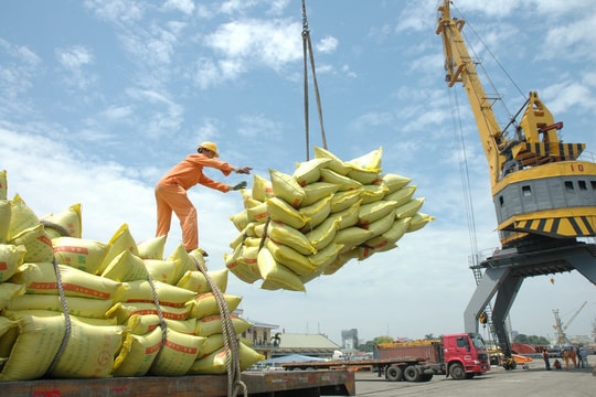 Giá gạo xuất khẩu của Việt Nam tiếp tục tăng mạnh Giá gạo xuất khẩu của Việt Nam tiếp tục tăng mạnh