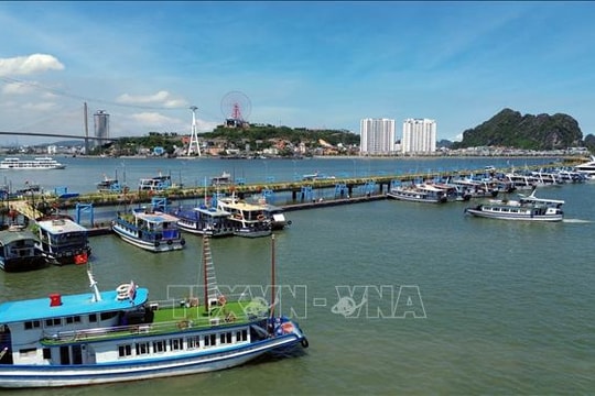 Quảng Ninh tạm ngừng cấp phép cho phương tiện thủy ra khơi để ứng phó bão số 5 Quảng Ninh tạm ngừng cấp phép cho phương tiện thủy ra khơi để ứng phó bão số 5