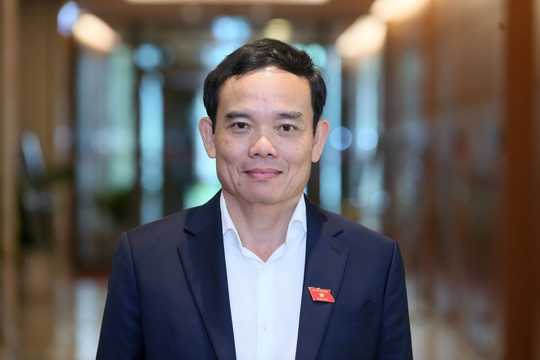 Ông Trần Lưu Quang làm Bí thư Thành ủy TP.HCM Ông Trần Lưu Quang làm Bí thư Thành ủy TP.HCM