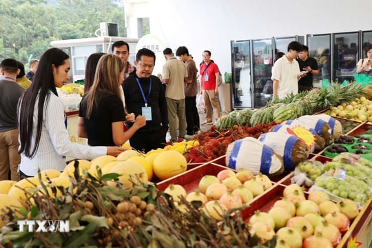 Trái cây Việt Nam chinh phục thị trường Trung Quốc: Cơ hội từ chất lượng và chính ngạch Trái cây Việt Nam chinh phục thị trường Trung Quốc: Cơ hội từ chất lượng và chính ngạch