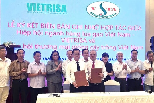 Khoa học công nghệ nâng tầm hạt giống lúa gạo Việt Nam Khoa học công nghệ nâng tầm hạt giống lúa gạo Việt Nam