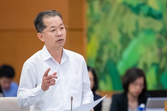 Bí thư Thành ủy Đà Nẵng được bổ nhiệm giữ chức Phó Tổng Thanh tra Thường trực Thanh tra Chính phủ Bí thư Thành ủy Đà Nẵng được bổ nhiệm giữ chức Phó Tổng Thanh tra Thường trực Thanh tra Chính phủ