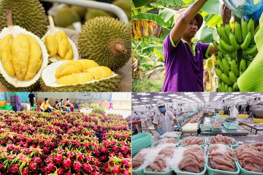 Xuất khẩu nông, lâm, thủy sản đạt 45,3 tỷ USD Xuất khẩu nông, lâm, thủy sản đạt 45,3 tỷ USD