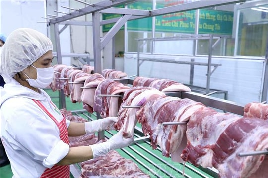 Nông nghiệp vượt mục tiêu xuất khẩu 65 tỷ USD năm 2025 Nông nghiệp vượt mục tiêu xuất khẩu 65 tỷ USD năm 2025