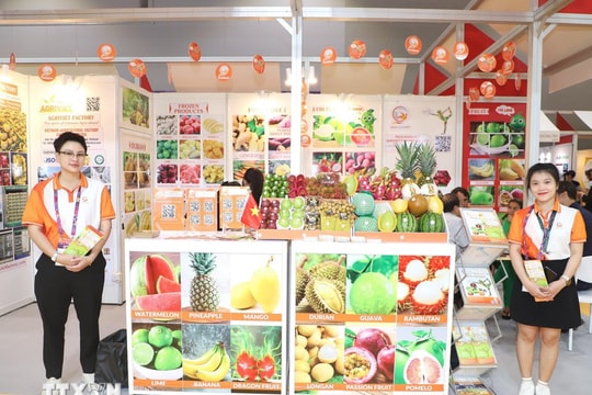 Trái cây Việt Nam thu hút khách quốc tế tại Hội chợ Asia Fruit Logistica 2025 Trái cây Việt Nam thu hút khách quốc tế tại Hội chợ Asia Fruit Logistica 2025