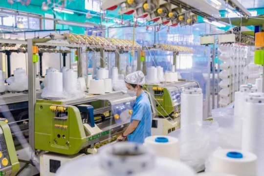 Hơn 209.000 doanh nghiệp gia nhập thị trường trong 8 tháng