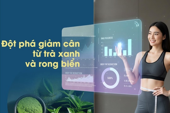 Đột phá giảm cân nhờ trà xanh và rong biển