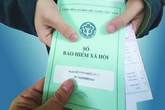 Từ 1/7/2025, chủ doanh nghiệp không hưởng lương phải đóng 29,5% bảo hiểm Từ 1/7/2025, chủ doanh nghiệp không hưởng lương phải đóng 29,5% bảo hiểm