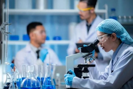 Quy định tiêu chí Tổng công trình sư, Kiến trúc sư trưởng