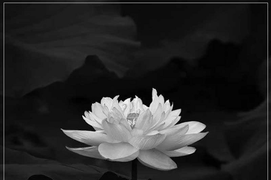 Nhà báo Nguyễn Thị Hằng Nga - Nguyên Tổng Biên tập Báo Người Lao Động qua đời Nhà báo Nguyễn Thị Hằng Nga - Nguyên Tổng Biên tập Báo Người Lao Động qua đời