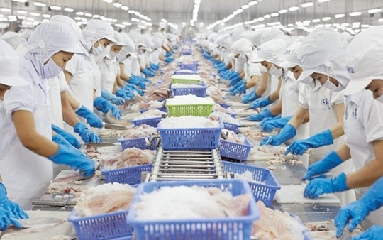 Bộ Công Thương đề nghị Mỹ xem xét khách quan về thương mại thủy sản