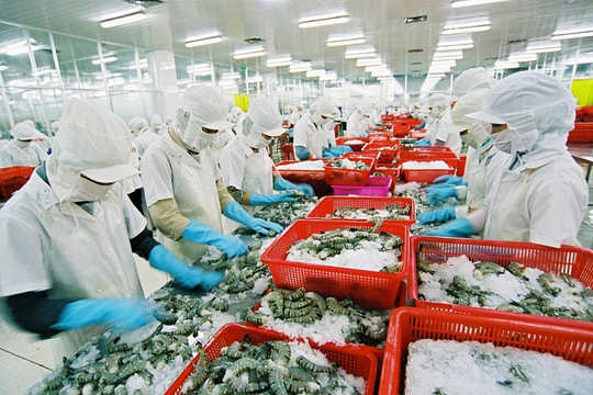 EU ban hành quy chuẩn mới về an toàn thực phẩm đối với thủy sản EU ban hành quy chuẩn mới về an toàn thực phẩm đối với thủy sản