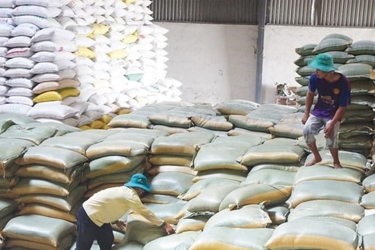 Đấu thầu thành công 200.000 tấn gạo dự trữ quốc gia năm 2025 Đấu thầu thành công 200.000 tấn gạo dự trữ quốc gia năm 2025