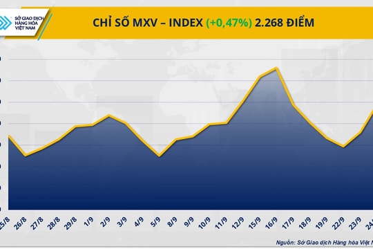 MXV-Index nối dài chuỗi tăng, dầu cọ và lúa mì dẫn dắt đà hồi phục MXV-Index nối dài chuỗi tăng, dầu cọ và lúa mì dẫn dắt đà hồi phục
