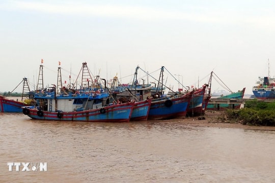 Nghệ An cấm tàu thuyền ra khơi từ 5 giờ ngày 27/9 để ứng phó bão Bualoi