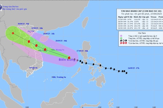 Thủ tướng yêu cầu các địa phương khẩn trương ứng phó bão số 10
