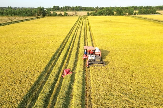 Đưa ngành trồng trọt vào quỹ đạo phát thải thấp giai đoạn 2025 - 2035