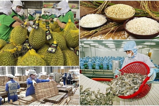 9 tháng, xuất khẩu nông, lâm, thủy sản tăng trưởng hai con số 9 tháng, xuất khẩu nông, lâm, thủy sản tăng trưởng hai con số