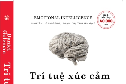 Trí tuệ xúc cảm (Emotional Intelligence) Trí tuệ xúc cảm (Emotional Intelligence)