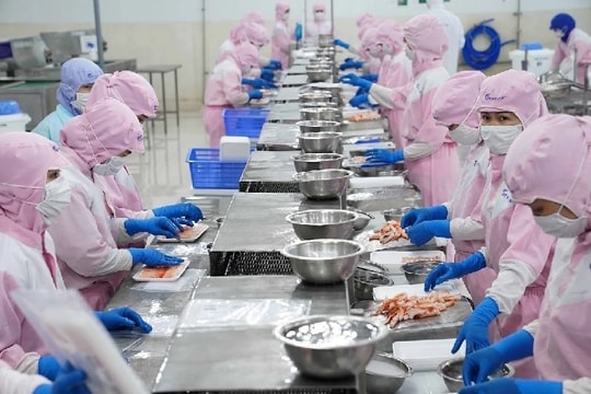 Xuất khẩu thủy sản Việt Nam tăng trưởng mạnh trong 9 tháng Xuất khẩu thủy sản Việt Nam tăng trưởng mạnh trong 9 tháng
