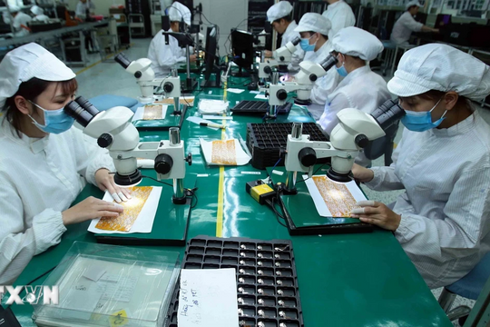 Báo chí Algeria ngợi ca thành tựu kinh tế và sức bật của Việt Nam Báo chí Algeria ngợi ca thành tựu kinh tế và sức bật của Việt Nam