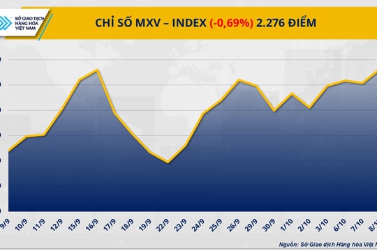 Thị trường hàng hóa toàn cầu đảo chiều: Năng lượng mất đà, kim loại hút vốn