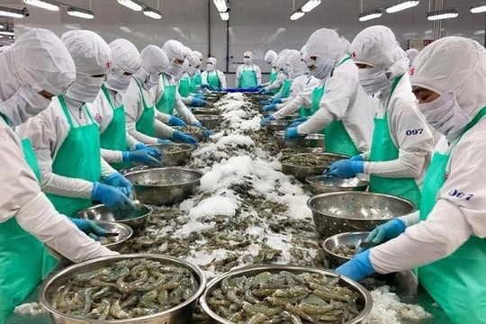 Xuất khẩu thủy sản tăng tốc, kỳ vọng lập đỉnh mới sau 3 năm Xuất khẩu thủy sản tăng tốc, kỳ vọng lập đỉnh mới sau 3 năm