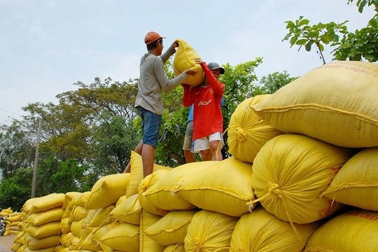 Ghana vượt Philippines, trở thành thị trường nhập khẩu gạo lớn nhất của Việt Nam Ghana vượt Philippines, trở thành thị trường nhập khẩu gạo lớn nhất của Việt Nam