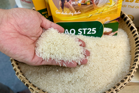 Philippines bất ngờ xem xét kéo dài lệnh cấm nhập khẩu đến hết năm 2025 Philippines bất ngờ xem xét kéo dài lệnh cấm nhập khẩu đến hết năm 2025