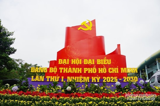 Trực tiếp Đại hội đại biểu Đảng bộ TP.HCM lần thứ I, nhiệm kỳ 2025 - 2030 Trực tiếp Đại hội đại biểu Đảng bộ TP.HCM lần thứ I, nhiệm kỳ 2025 - 2030