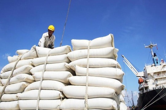 Doanh nghiệp gạo Việt Nam tìm hướng đi mới giữa biến động thị trường Doanh nghiệp gạo Việt Nam tìm hướng đi mới giữa biến động thị trường