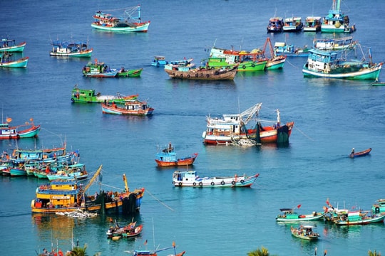 Việt Nam quyết tâm dập tắt vi phạm IUU, hướng tới xuất khẩu thủy sản bền vững Việt Nam quyết tâm dập tắt vi phạm IUU, hướng tới xuất khẩu thủy sản bền vững