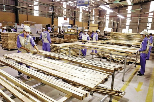 Ngành gỗ TP.HCM định vị thành trung tâm sản xuất của thế giới Ngành gỗ TP.HCM định vị thành trung tâm sản xuất của thế giới