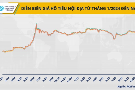 Hồ tiêu Việt Nam giữ vững vị thế xuất khẩu giữa biến động giá toàn cầu Hồ tiêu Việt Nam giữ vững vị thế xuất khẩu giữa biến động giá toàn cầu